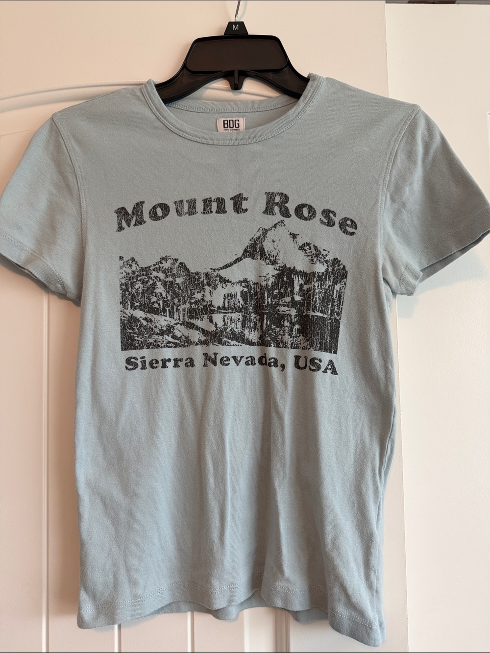 BDG Pale Blue Mount Rose Graphic Tee - Short Sleeve